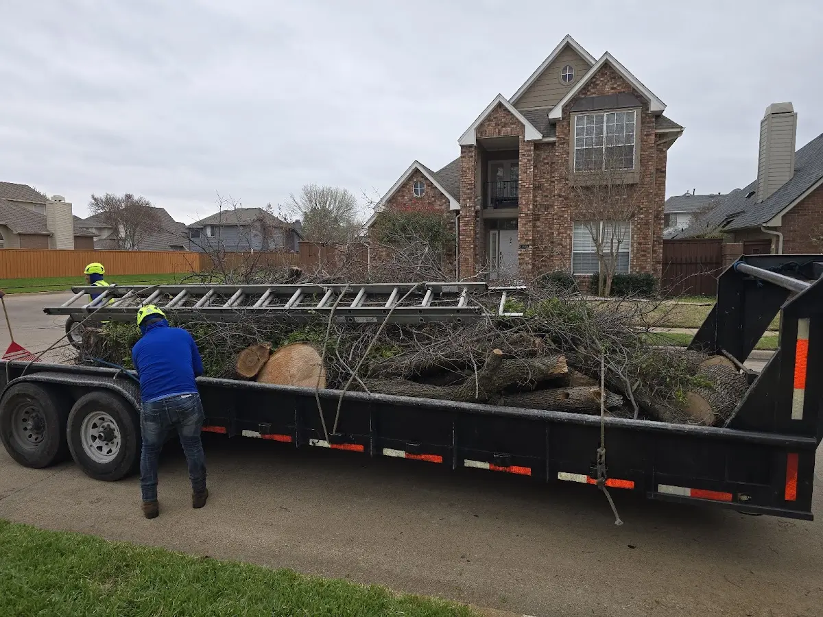 Expert Tree Removal with proper safety equipment in Mcdonough